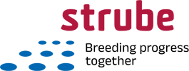 Junior Controller (m/w/d)